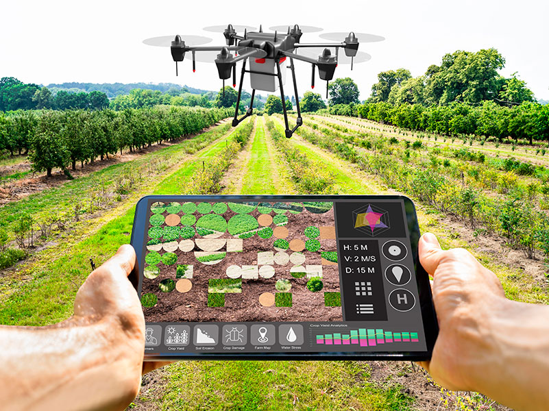 Na imagem há um tablet mostrando a situação da plantação e um drone.